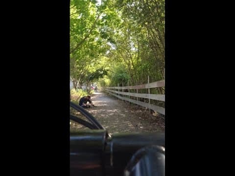 Introducing Bellingham's 'Trash Club'