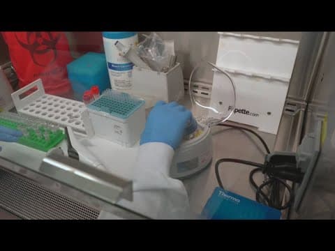 San Diego State University achieves prestigious R1 research designation