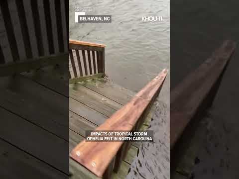 Tropical Storm Ophelia brings flooding to Belhaven, North Carolina #Shorts