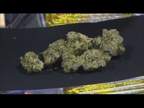 Proposed rules would allow medical marijuana dispensaries to sell recreational cannabis