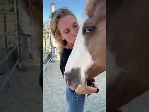 Equine therapy aids heroes | The Rosie Project's healing touch