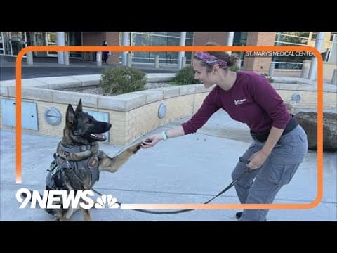 K9 teams hired at Colorado hospital for safety, comfort
