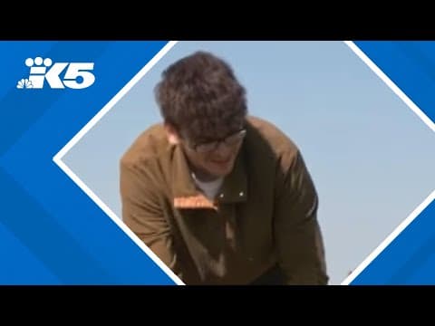 Dog trainer accused of killing employee during promotional video shoot expected in court