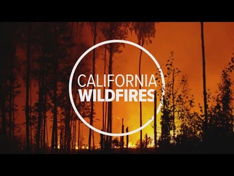 How to help locally with LA wildfires
