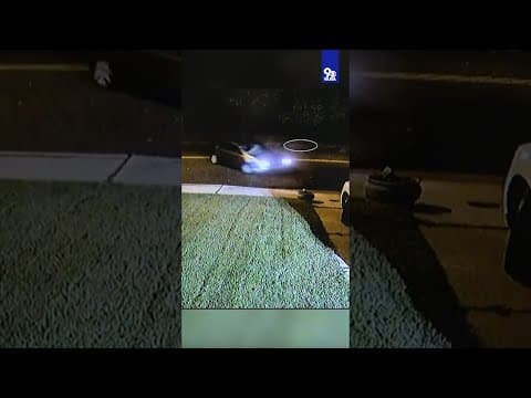 VIDEO: Victim gets lodged in windshield after hit-and-run