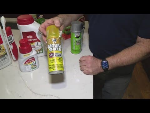 Pat Sullivan's tips for preventing pests from entering your home