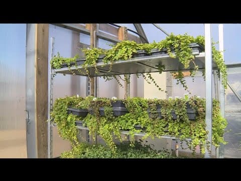 Garden expert says this warm weather is a blessing many gardeners and homeowners have overlooked