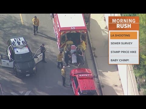 Authorities charge wife of popular rockstar with attempted murder