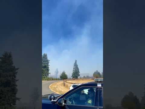 Crews battle Thurston County brush fire
