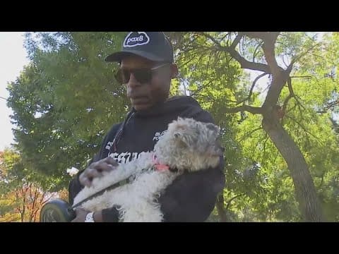 Chicago man reunited with missing dog after 10 years