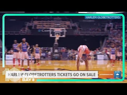 Happening Today: USF/FDOT career fair, Harlem Globetrotters