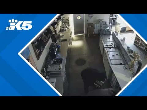 Frustration brewing after West Seattle coffee shop hit by burglars again