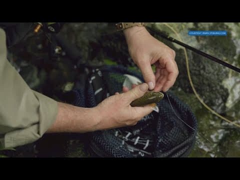 Government shutdown causing concern for those who work in national parks