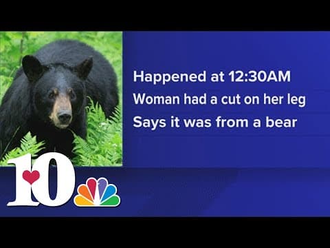 Gatlinburg Police: Woman injured after bear encounter at motel