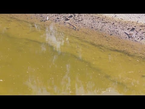 New federal survey reveals impact of Tijuana River sewage crisis