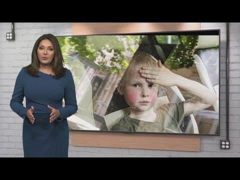 Can you break a window to rescue a child or pet from a hot car?