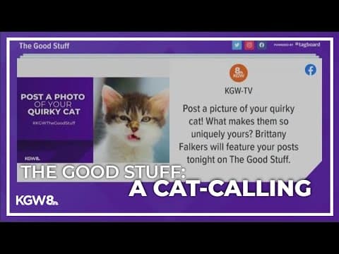 YouTube thumbnail for video FnWSQPFzEas