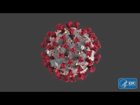 New survey shows adults not worried about COVID for upcoming Holiday season