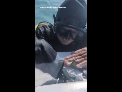 Florida crew finds treasure worth more than $1 million on shipwreck from 1700s