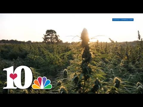 Kentucky hemp company sues Tennessee over upcoming hemp regulations