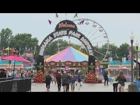 CityMoms: How to enjoy the Indiana State Fair on a budget