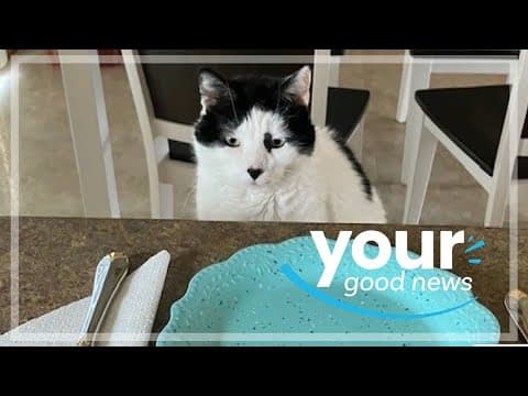 Your Good News | Week of 04.14.25