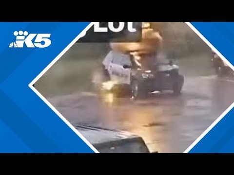 Lightning strikes police cruiser