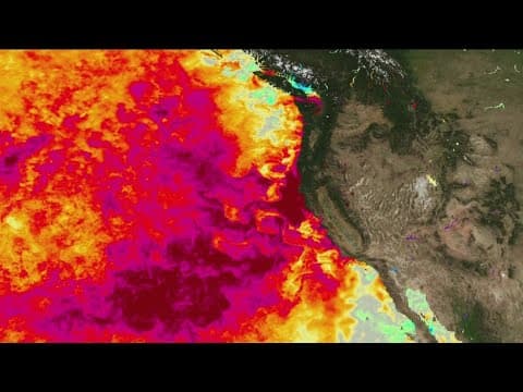 Models forecast a dry winter in California due to La Niña