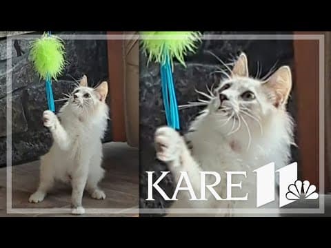 Your Good News: Tommie Baker, Terry Sylvesters, Jim Quinn