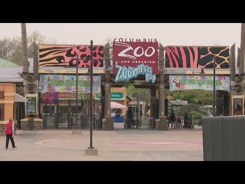 Hyundai stolen outside Columbus Zoo; 4 masked people seen checking cars in lot, witness reported