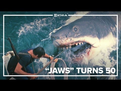 'Jaws' turns 50: Celebrating the film that changed movie history #jaws #movies #movie