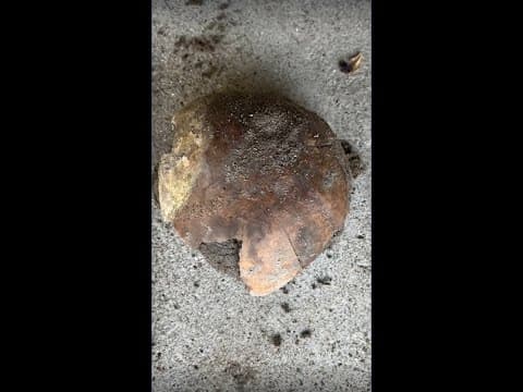 4,000-year-old skull found in Fayette County