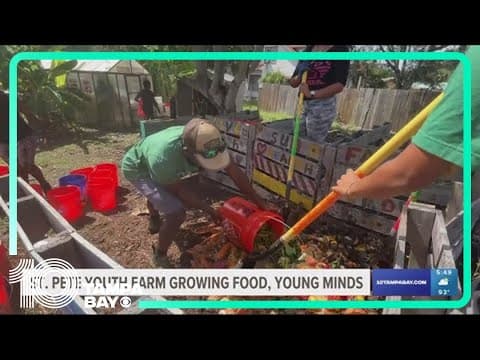 St. Pete Youth Farm growing food, young minds