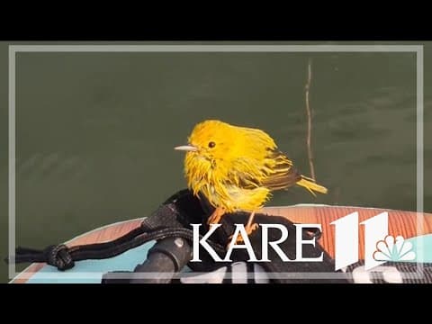 Your Good News: Karin Ness, Mary McDowell, Kate Strunk Furst