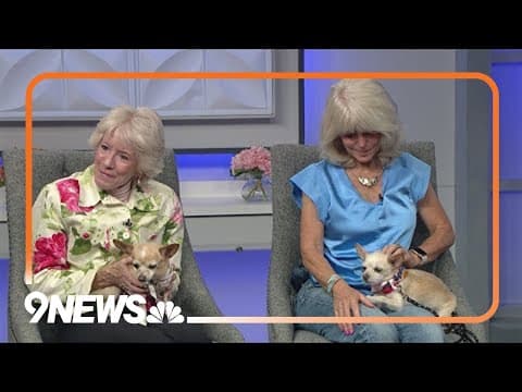 Thing 1 and Thing 2: These furry sisters need a forever home