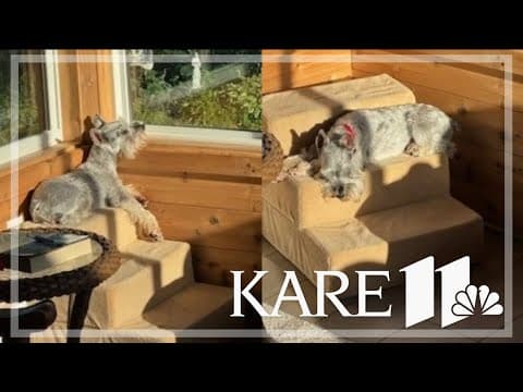 Your Good News: Gretchen, Deb, Terri