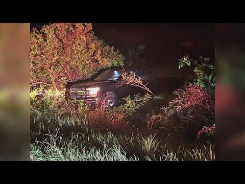 5 hospitalized, dog rescued in pair of Hernando County crashes Saturday morning