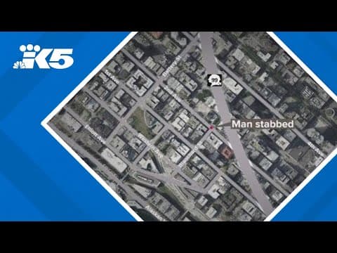 Seattle man stabbed after refusing attackers' demands for food