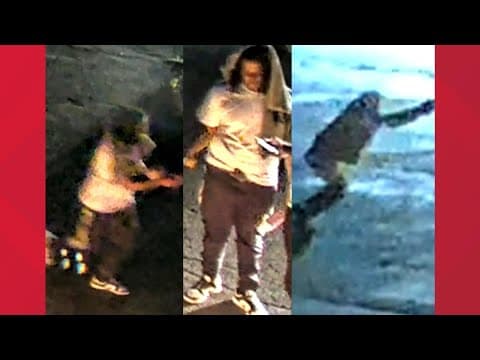 Police seek to identify 2 persons of interest in connection to fatal Krumm Park shooting