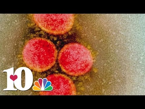 Health leaders say XBB COVID-19 subvariant is not causing severe illness, though it resists vaccines