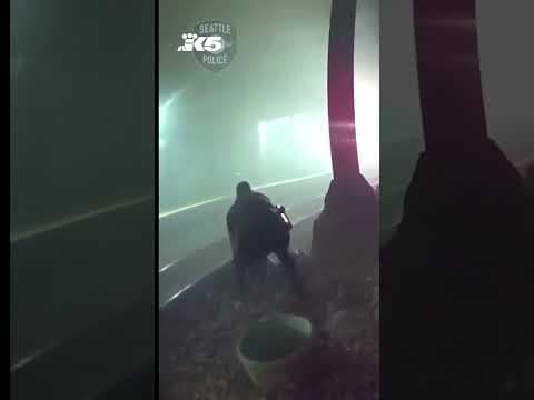 Seattle police rescue man from oncoming train