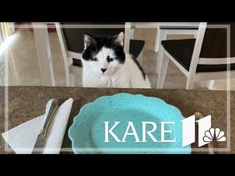 Your Good News: Jill Kelly, Tony and Marlene, Monika Makela