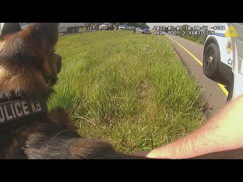 Circleville reaches settlement with fired officer who released K-9 on truck driver following chase