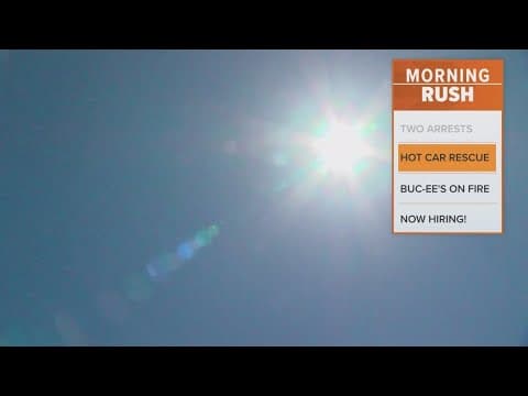 Viral video shows children rescued from hot car