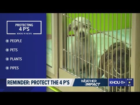 The 4 P's to keep in mind as cold temperatures head to the Houston area