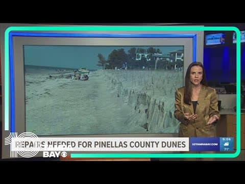 Repairs needed for Pinellas County dunes