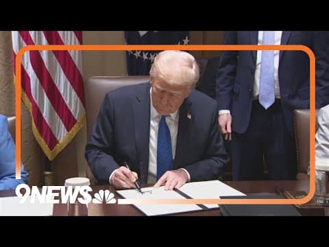 Legal expert discusses Trump's executive action overhauling US elections