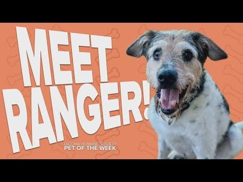 Pet Rescue of the Week: Ranger