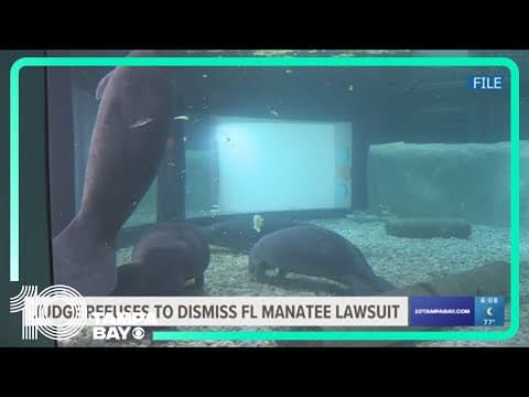 Judge refuses to dismiss lawsuit tying Florida to manatee deaths