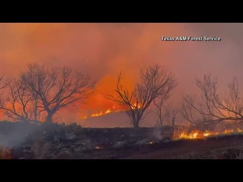 Texas crews still battling largest wildfire in state's history